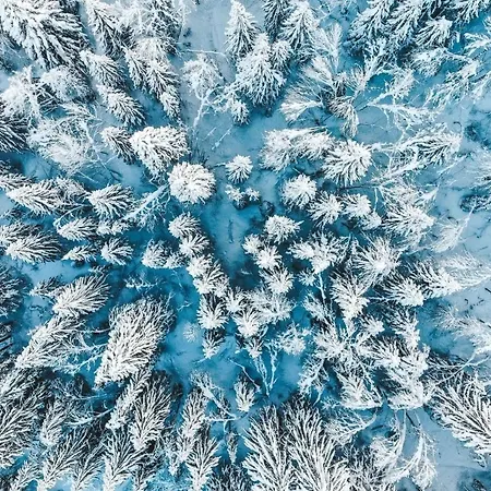 Azalee, Montriond, Morzine, Avoriaz Chalet *